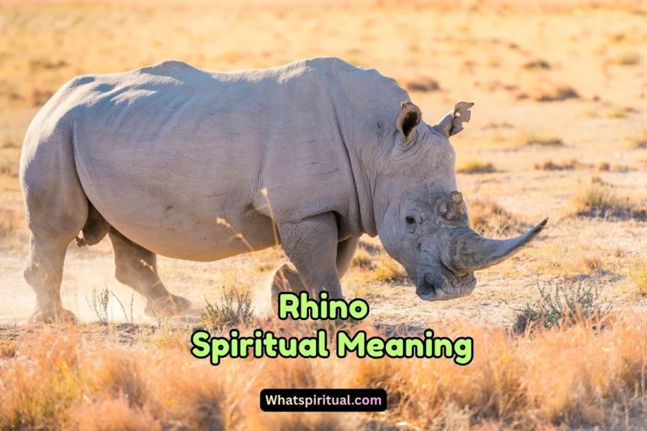 What is the Spiritual Meaning of Rhino
