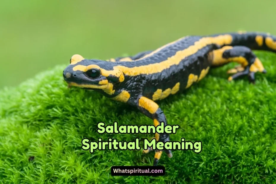 What is the Spiritual Meaning of Salamander